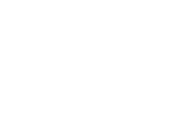 Fans Logo